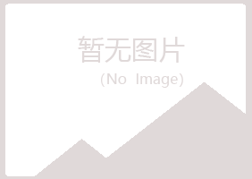 黑山县若烟机械有限公司